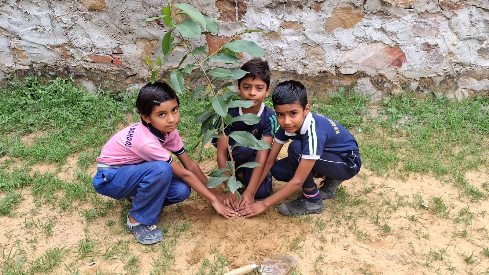 Plant Distribution